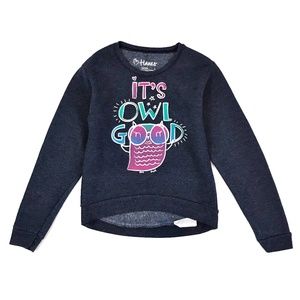 Hanes Navy Owl Glitter Fleece Lined Sweater